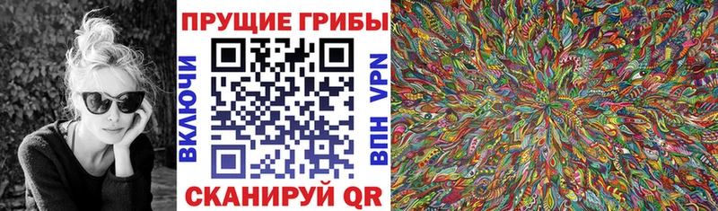 купить наркотик  Алдан  Галлюциногенные грибы мицелий 